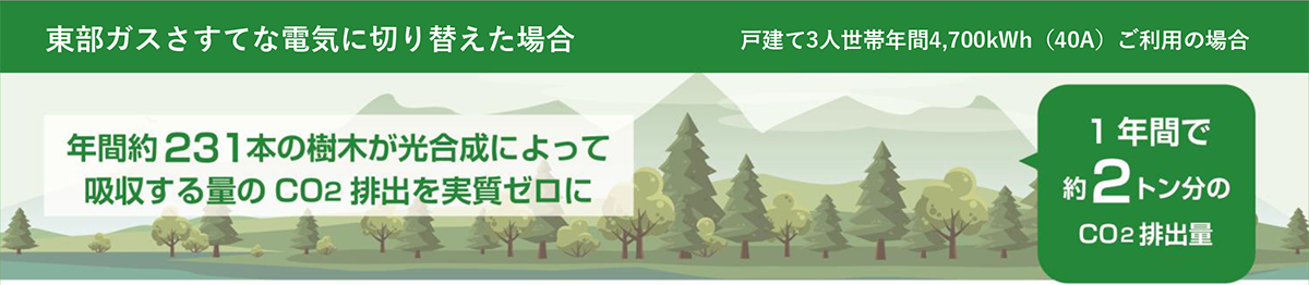 [東部ガスさすてな電気に切り替えた場合 戸建て3人世帯年間4,700kWh(40A)ご利用の場合] 年間約249本の樹木が光合成によって吸収する量のCO2排出を実質ゼロに １年間で約２トン分のCO2排出量