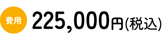 費用225,000円(税込)