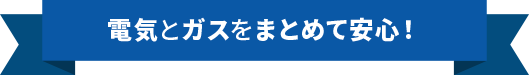 電気とガスをまとめて安心！